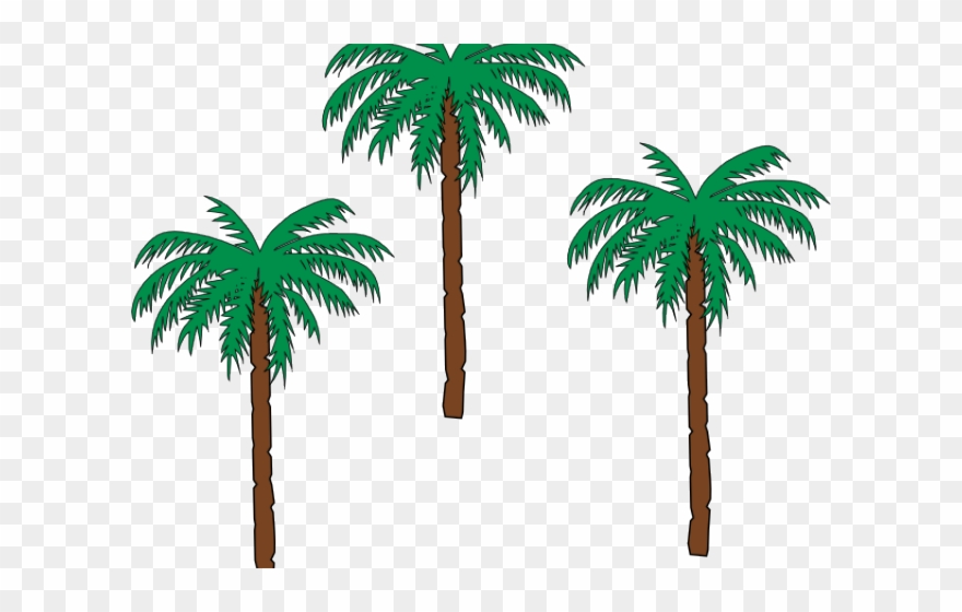 Date Palm Clipart Pom Tree - Haiti Coat Of Arms - Png Download