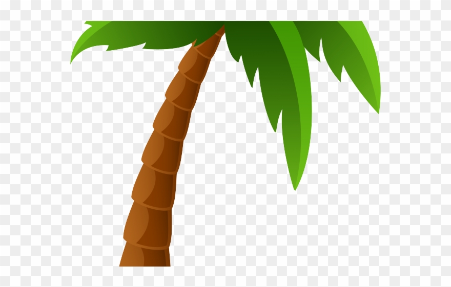 Date Clipart Palm Tree - Palm Tree Cartoon - Png Download