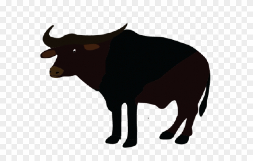 Picture Free Stock Free On Dumielauxepices Net - Clipart Buffalo Png Transparent Png