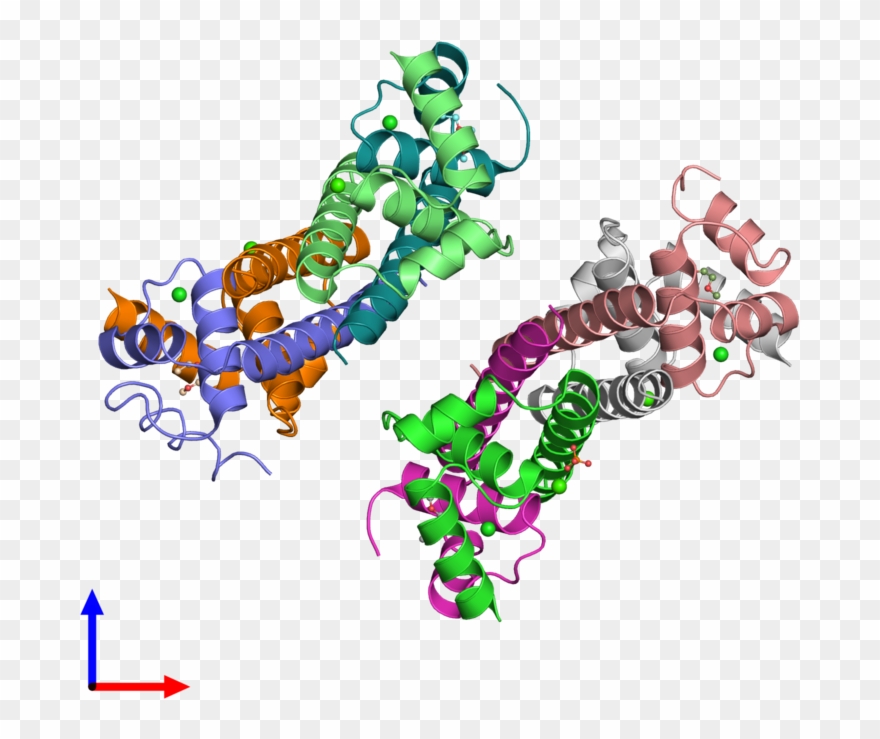 Pdb 1sfk Coloured By Chain And Viewed From The Front - Illustration Clipart