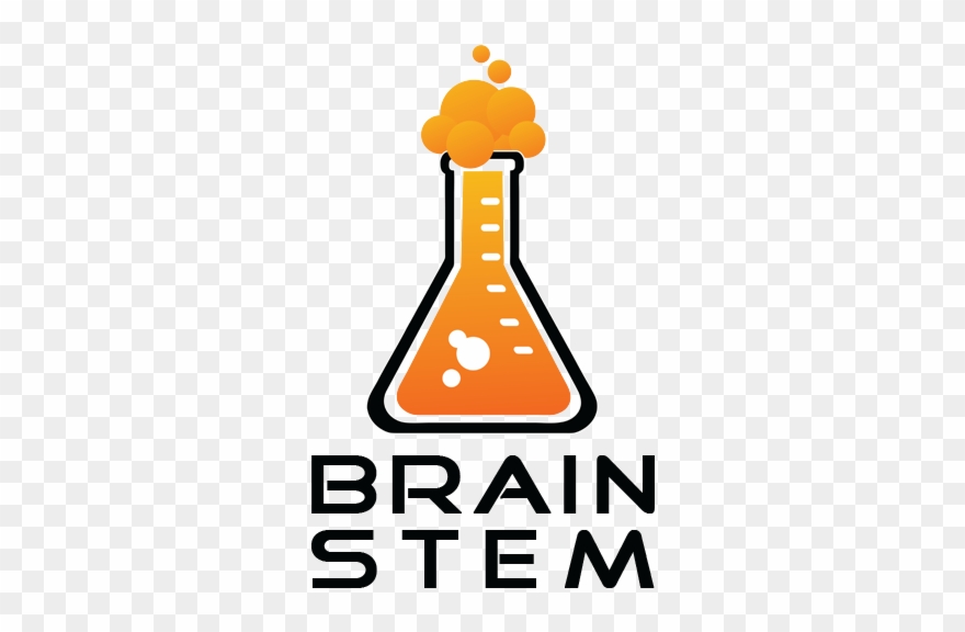 Brain Stem - Brain Stem Tucson Clipart