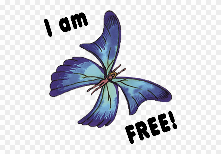 Earth Mama® Eco Sticker Fun Messages Sticker-7 - Graphic Design Clipart