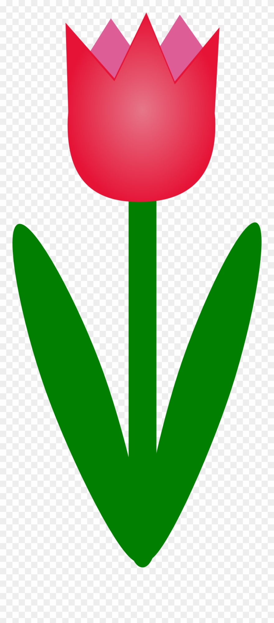 Tulip Clipart No Background Collection Heart Clip Art - Tulip Cartoon Png Transparent Png