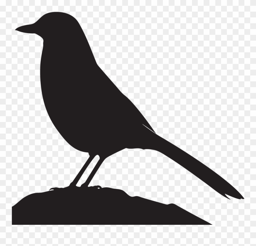 Vector Freeuse Download Silhouette At Getdrawings Com - Scrub Jay Silhouette Clipart
