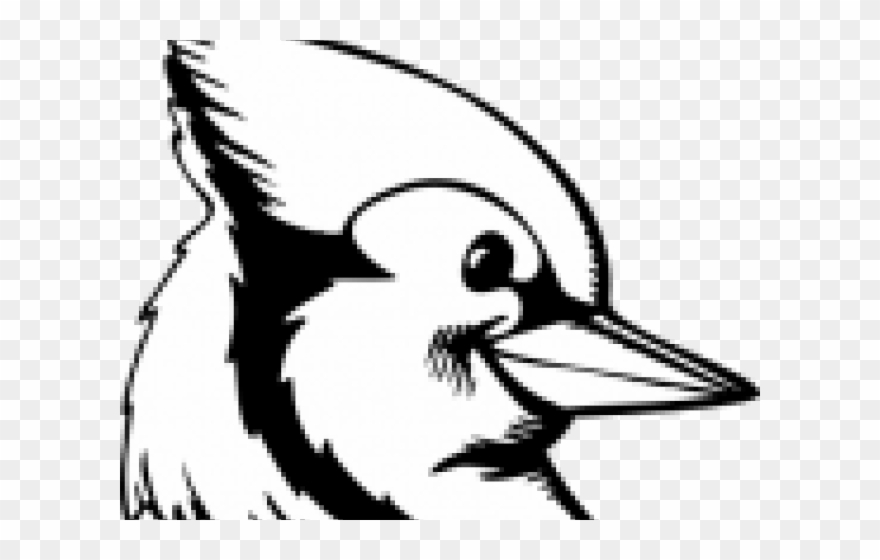 Illustration Clipart