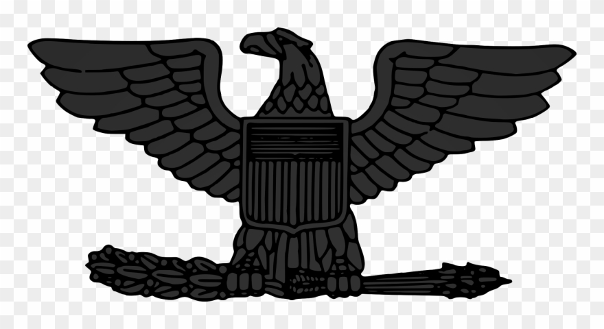 Falcon Clipart Creative - Us Colonel Rank Insignia - Png Download