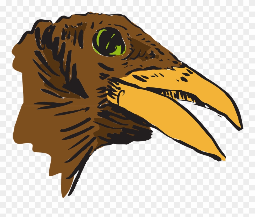 Head Beak Brown Wildlife - Bird Head Clip Art - Png Download