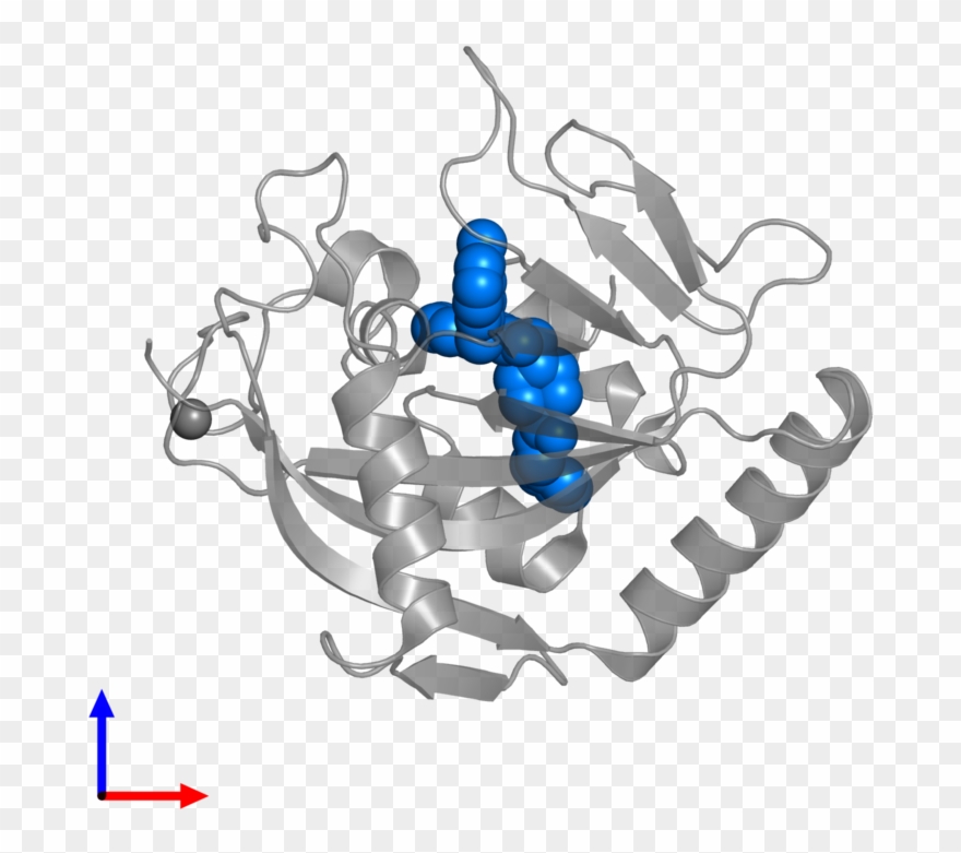 <div Class='caption-body'>pdb Entry 4tos Contains 1 - Scorpion Clipart