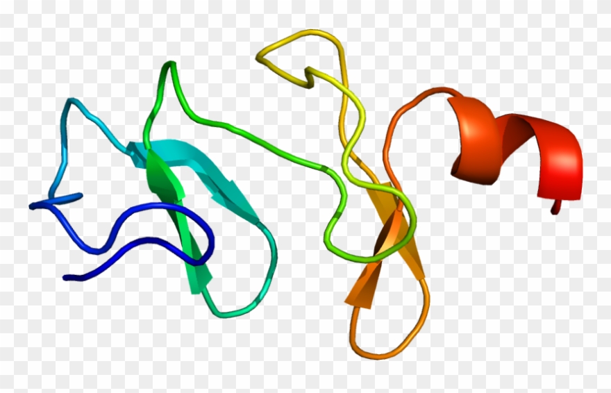 Protein Data Bank Clipart