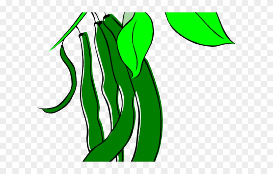 Beans Clipart Canned Bean - String Beans Clip Art - Png Download