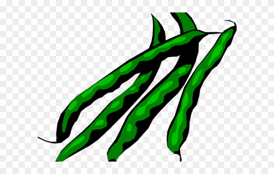 Green Beans Clip Art - Png Download