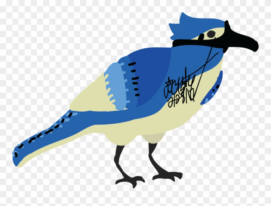 Bluejay Drawing Side View - Blue Jay Clipart