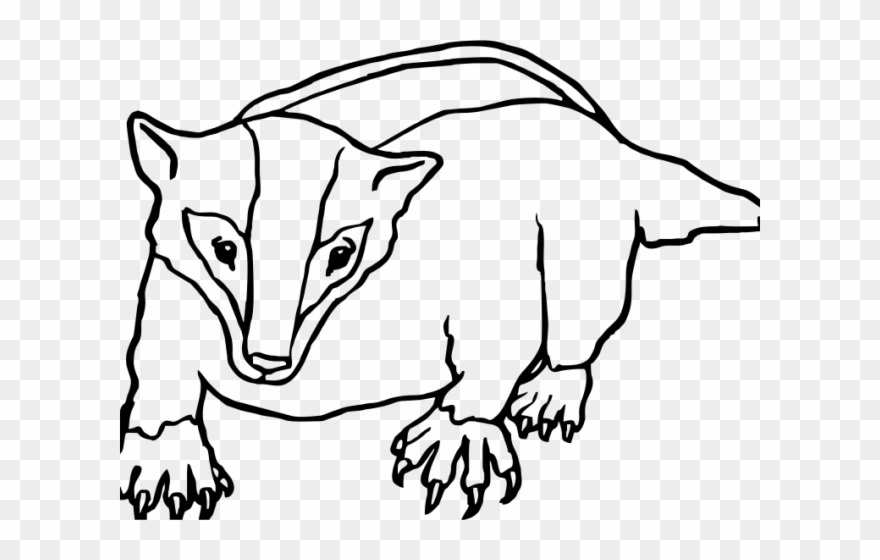 Badger Clipart Black And White - Ecosystem Of A Badger Coloring Page - Png Download