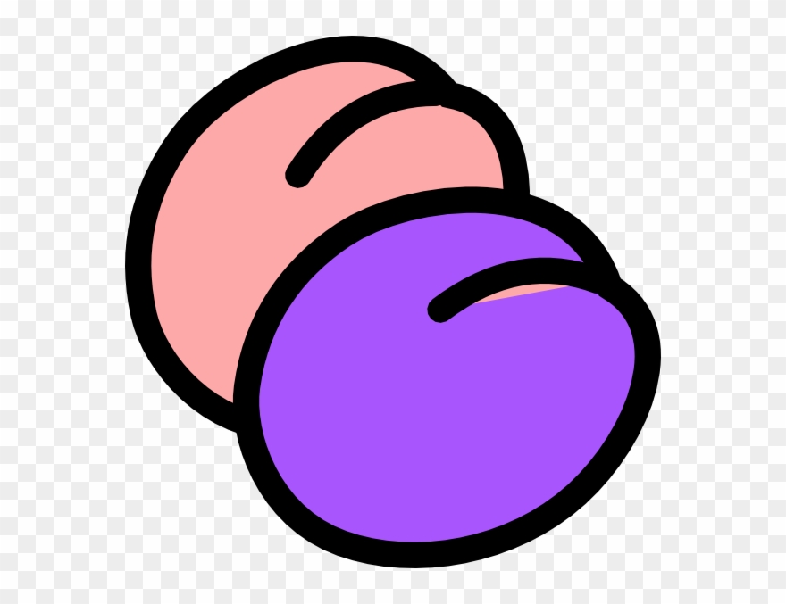Plum Clip Art - Outline Of A Plum - Png Download