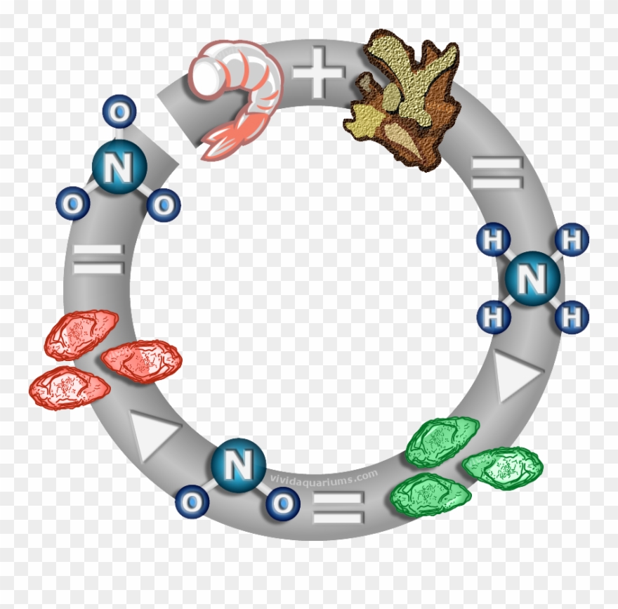 When Starting A New Tank, You Must "cycle" Your Aquarium - Aquarium Clipart