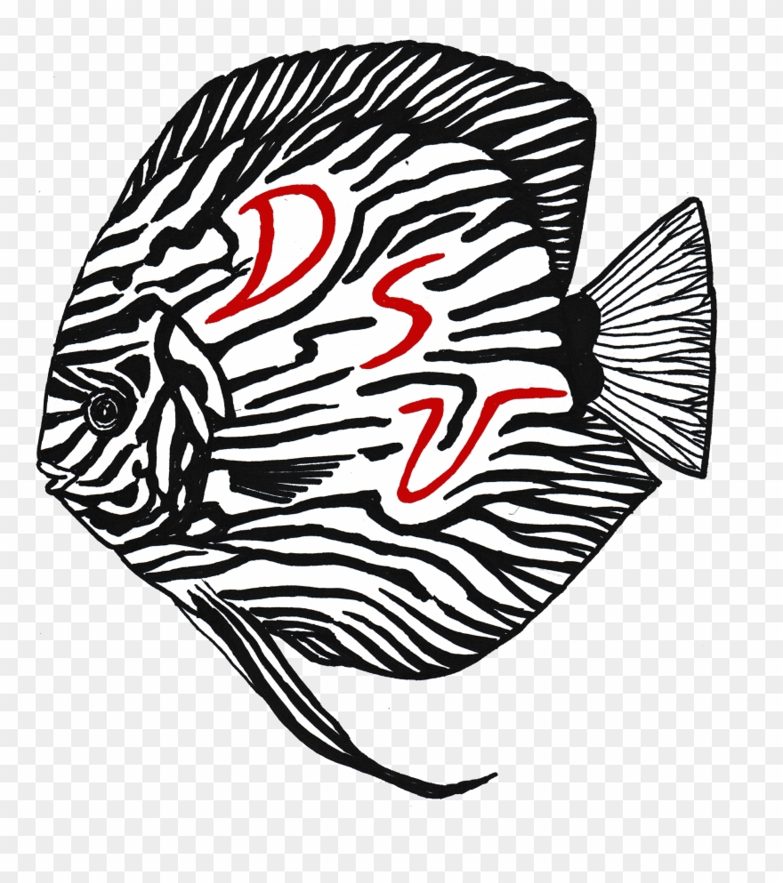 Aquarium Sunshine's Valley Clipart