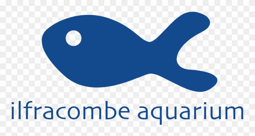 The Ilfracombe Aquarium Clipart