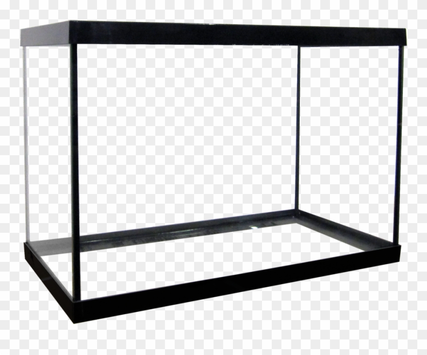 20 Regular Aquarium - 20 Gallon High Aquarium Clipart