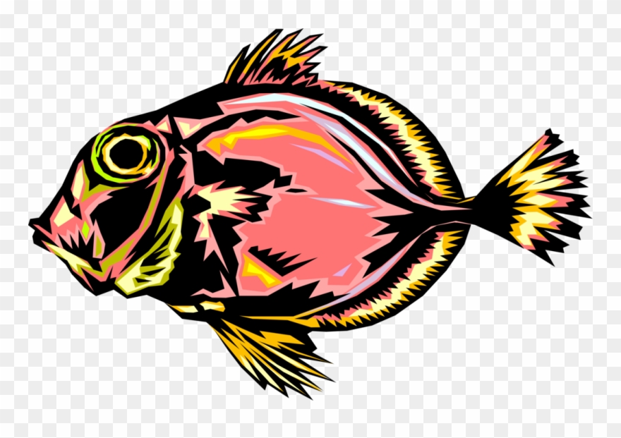 Vector Illustration Of Aquarium Tropical Fish - Fish Clipart