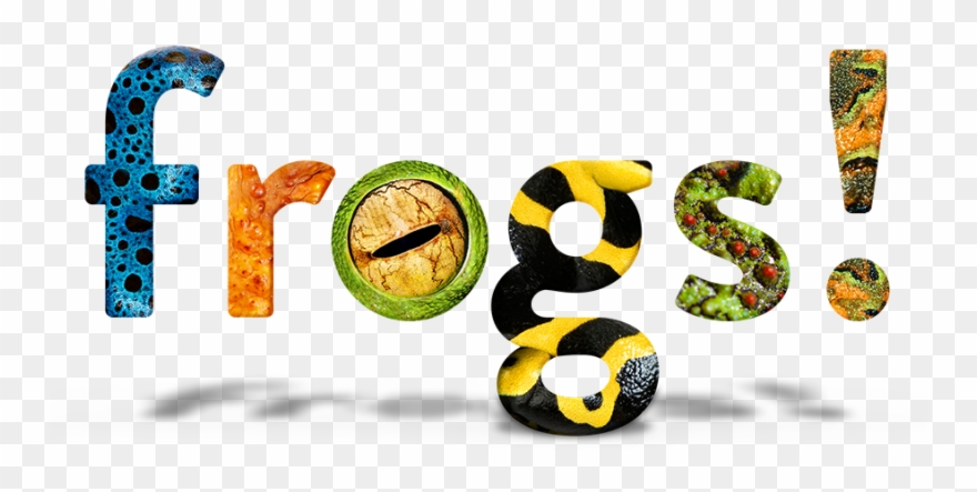 Frogs - Graphic Design Clipart