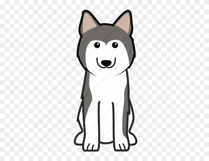 Cartoon Husky Clipart Siberian Husky Alaskan Malamute - Dibujar Un Perro Siberiano - Png Download