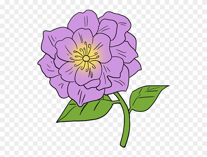 How To Draw Peony - Peony Flower Drawing Easy Clipart