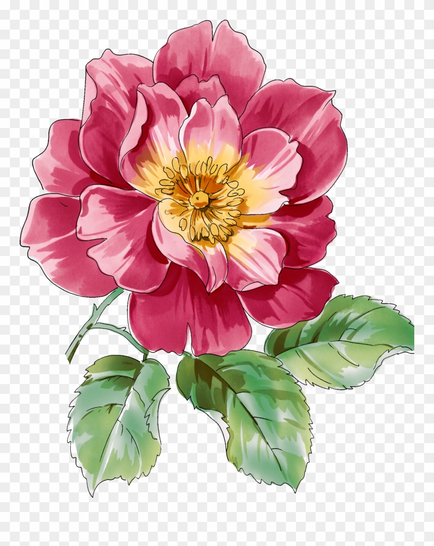 Clipart Royalty Free Library Pion Png Pinterest Decoupage - Flowers Art Water Color Png Transparent Png