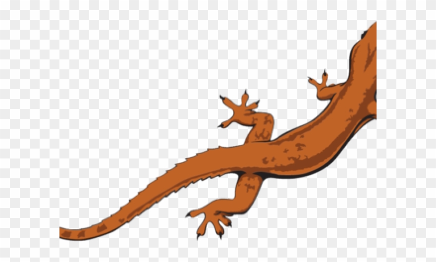 Gecko Clipart Transparent Background - Transparent Background Lizard Png