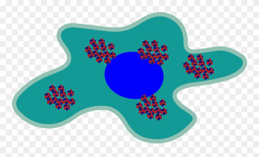 Png Freeuse Library Frederick Hawthorne The Researcher - Clipart Cancer Cell Png Transparent Png