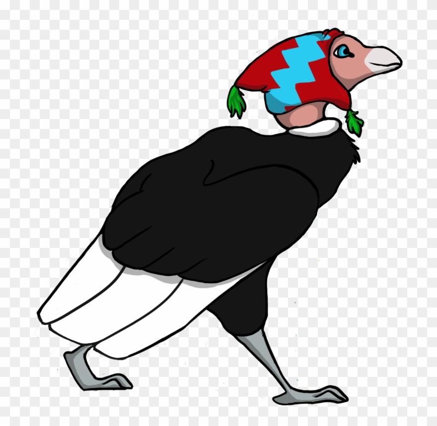 Condor Drawing Andean Vector Freeuse Library - Drawing Clipart