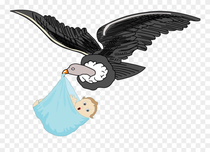 There Is No Obligation To Love One's Parents - Bird Clipart
