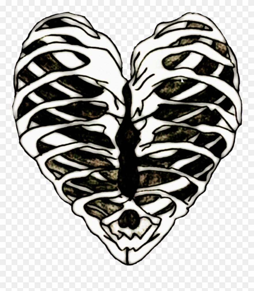 Edits Ribs Ribcage Heart Bones Art Stickers - Rib Cage Transparent Png Clipart