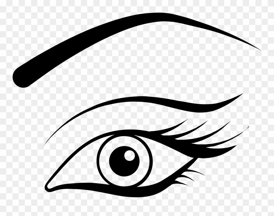 Eye Brow Lashes Cosmetics Bulk Logo Download - Facial Clipart