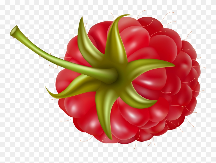 Rraspberry Png Image - Малина Рисунок Png Clipart