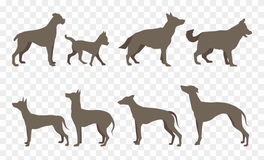 Dog Breed Silhouette - Brown German Shepherd Dog Clipart