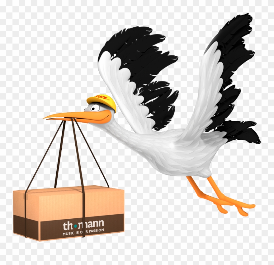 White Pelican Clipart
