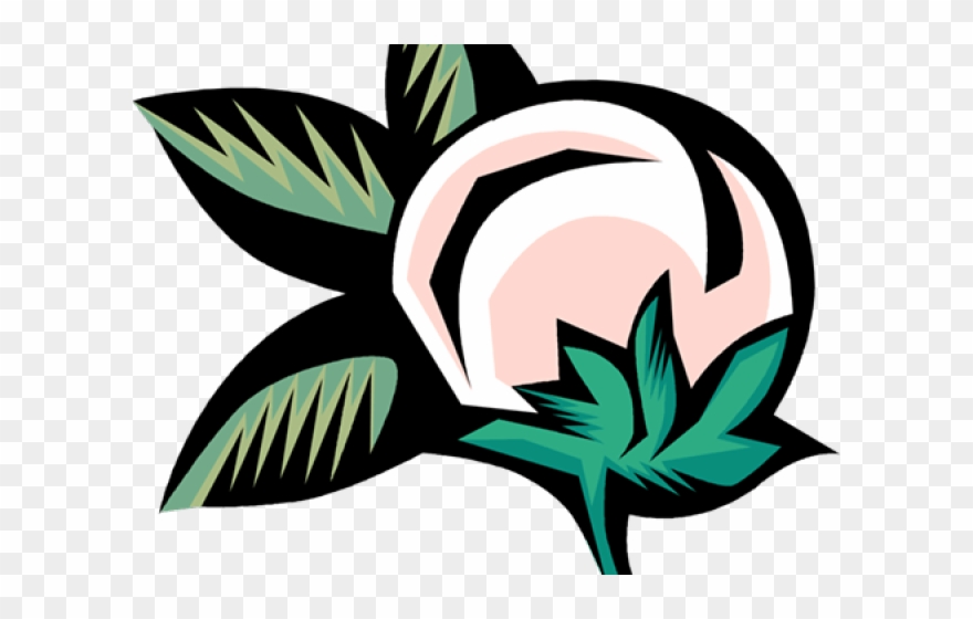 Original - Transparent Background Cotton Plant Clipart - Png Download