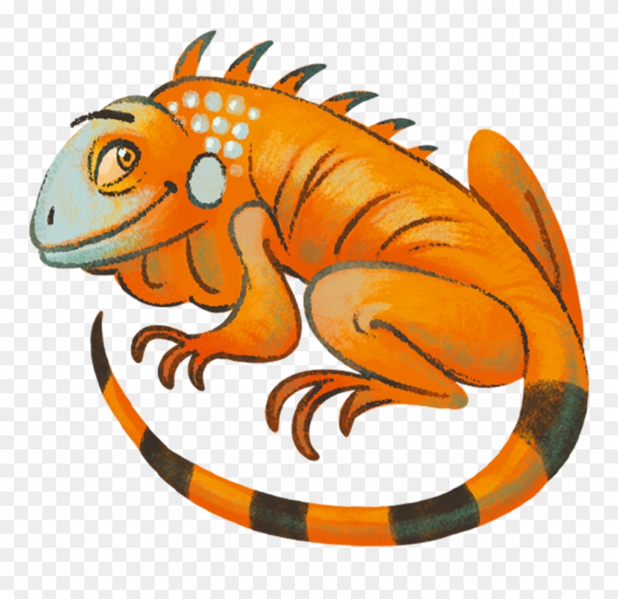Iguana Clipart Orange - Iguana - Png Download