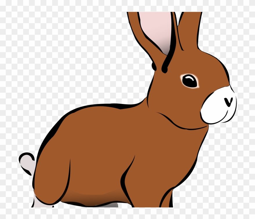 Revising Grammar Verb Forms - Best Gift - Rabbit5 Hoodie/t-shirt/mug Black/navy/pink/white Clipart