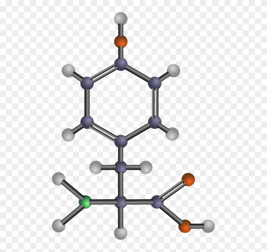 Arginine Amino Acid Threonine Valine - Amino Acids: Biochemistry And Applications Clipart