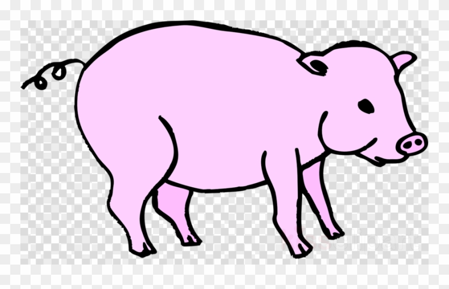 Picsart Hairstyle Png Clipart Picsart Photo Studio - การ์ตูน ปลาวาฬ Png Transparent Png